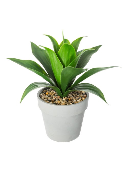 Aloé Vera artificiel - Kiabi