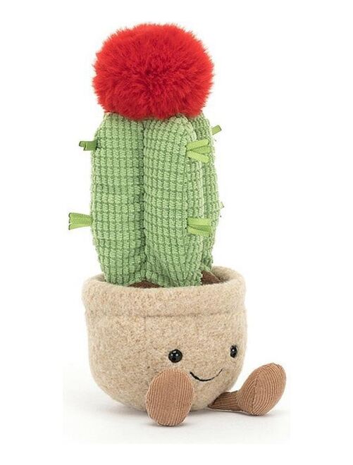 Amuseable Moon Cactus - Kiabi