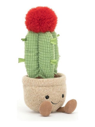 Amuseable Moon Cactus