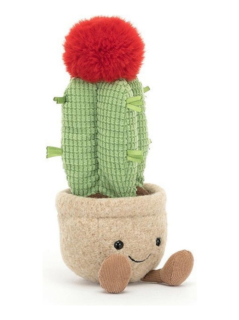 Amuseable Moon Cactus Multicolore - Kiabi