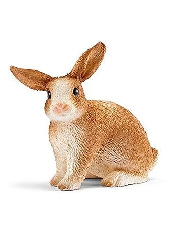 Animal miniature Lapin