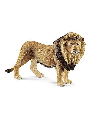 Animal miniature Lion