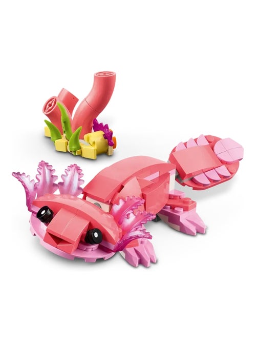 Animaux sauvages : le flamant rose - Kiabi