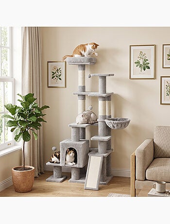 Arbre à chat 5 niv. H.152 cm multi-équipé gris