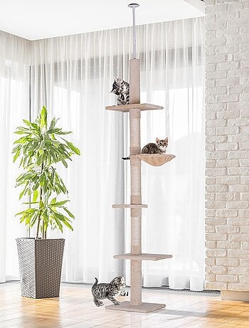 Arbre à chat 5 niveaux d'activités