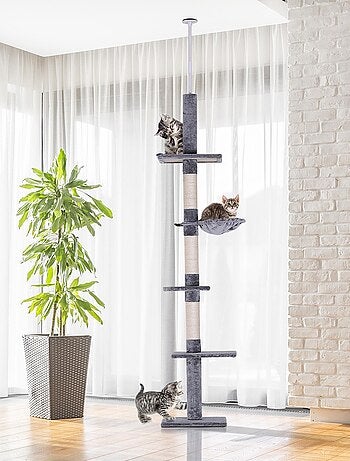 Arbre à chat 5 niveaux d'activités