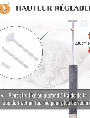 Arbre à chat 5 niveaux d'activités