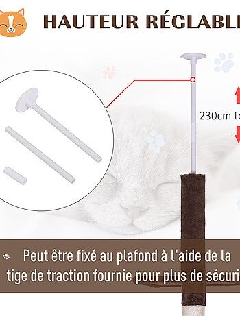 Arbre à chat 5 niveaux d'activités
