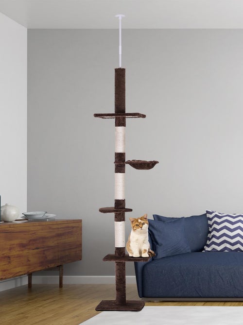 Arbre à chat 5 niveaux d'activités - Kiabi