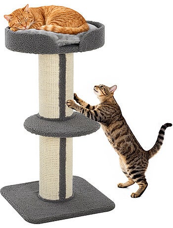 Arbre à chat avec griffoir centre d'activités 2 plateformes coussin