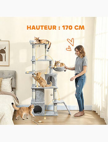 Arbre à chat centre activités grande taille - classcatz