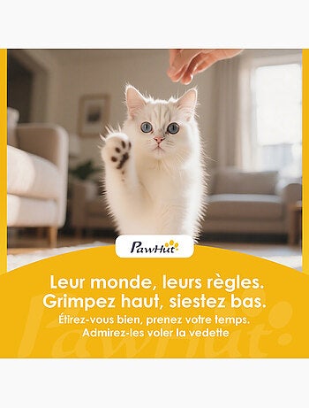 Arbre à chat design tour à griffer 3 niveaux plateforme