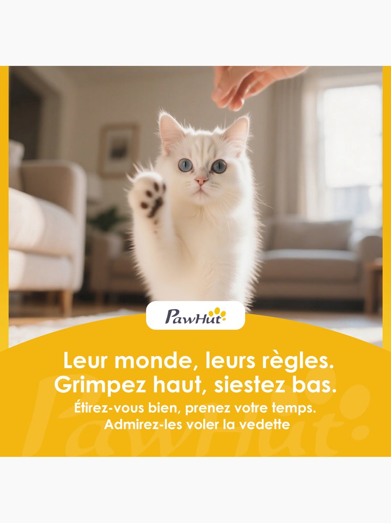Arbre à chat design tour à griffer 3 niveaux plateforme Gris - Kiabi