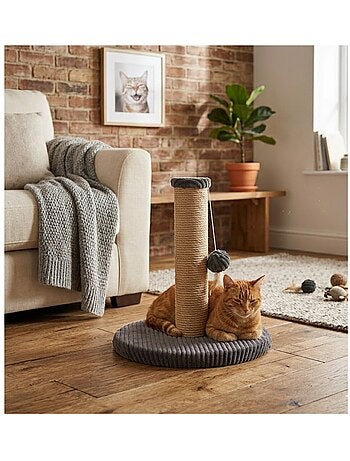Arbre a chat et jeu suspendu Riba