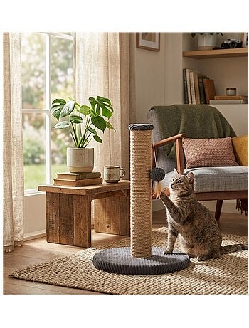Arbre a chat et jeu suspendu Riba