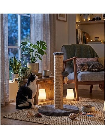Arbre a chat et jeu suspendu Riba