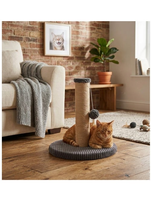 Arbre a chat et jeu suspendu Riba - Kiabi