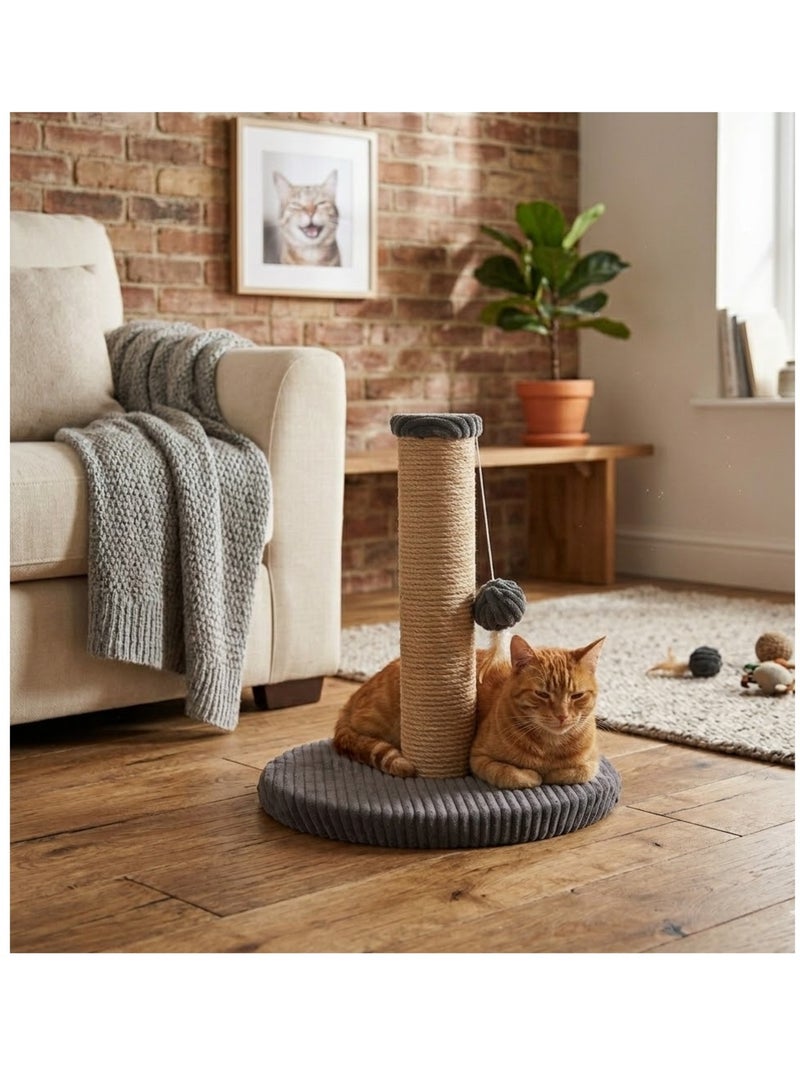 Arbre a chat et jeu suspendu Riba Gris foncé - Kiabi