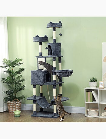 Arbre à chat grande taille h.206 cm multi-équipement gris