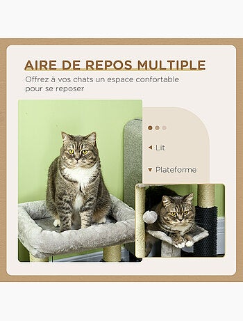 Arbre à chat griffoirs massant panier plateforme jeu boule gris