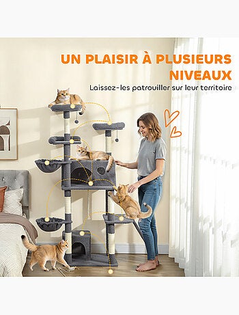 Arbre à chat multi-équipement - classcatz