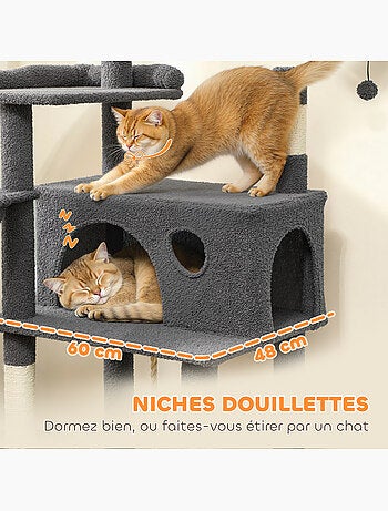 Arbre à chat multi-équipement - classcatz