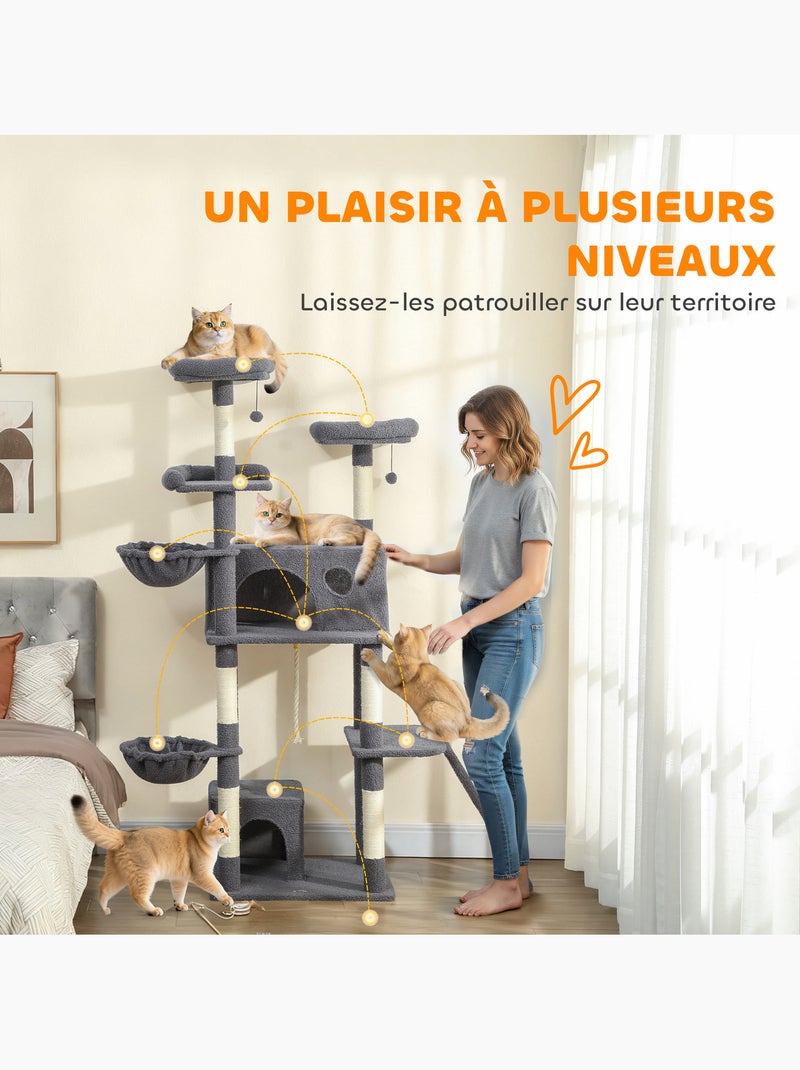 Arbre à chat multi-équipement - classcatz Gris - Kiabi