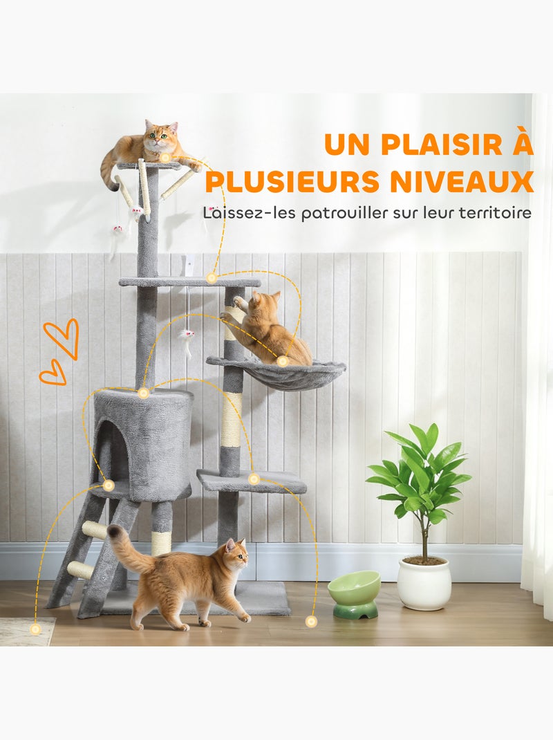 Arbre à chat multi-équipement griffoirs plateformes niche échelle hamac jouets gris Gris - Kiabi