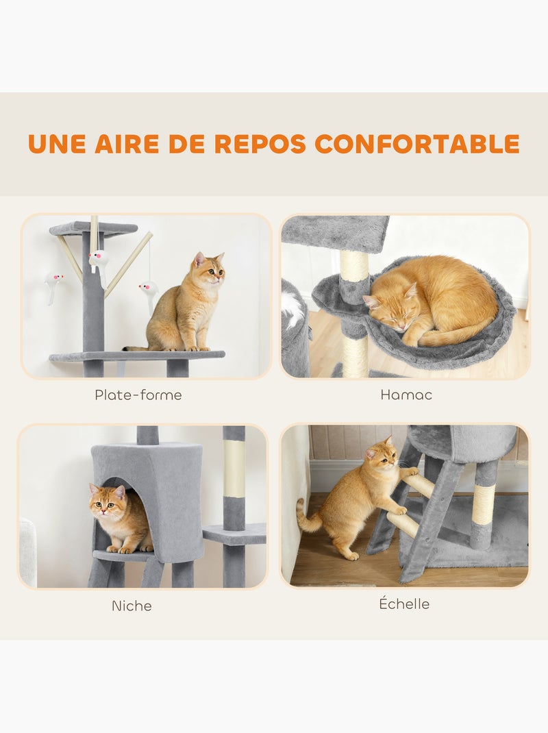 Arbre à chat multi-équipement griffoirs plateformes niche échelle hamac jouets gris Gris - Kiabi