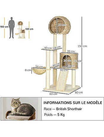Arbre à chat style cosy chic peluche beige jacinthe d'eau