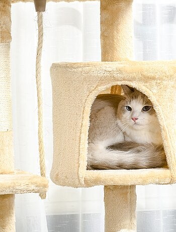 Arbre à chats multi équipements beige