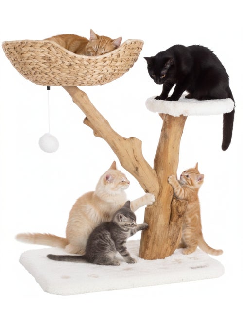 Arbre à griffer design avec panier - Kiabi