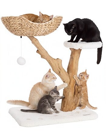 Arbre a griffer design avec panier