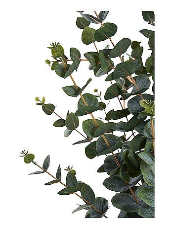 Arbre d'eucalyptus - Plante artificielle, vert H:120 cm