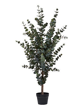 Arbre d'eucalyptus - Plante artificielle, vert H:120 cm