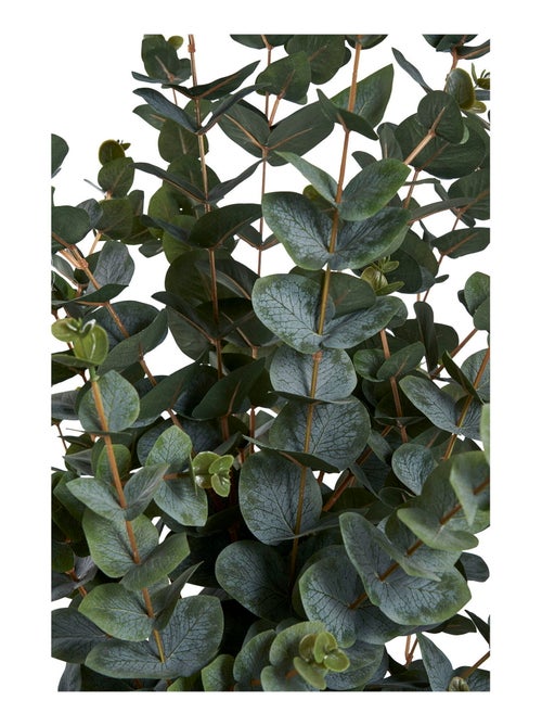 Arbre d'eucalyptus - Plante artificielle, vert H:120 cm - Kiabi