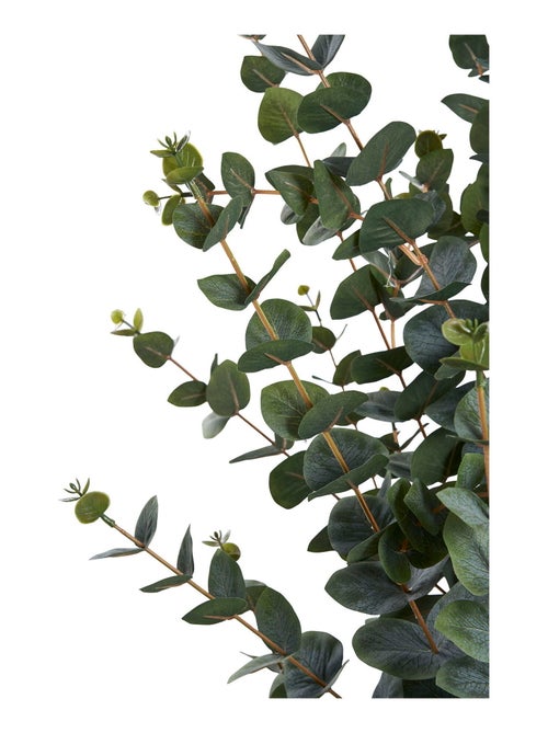 Arbre d'eucalyptus - Plante artificielle, vert H:120 cm - Kiabi