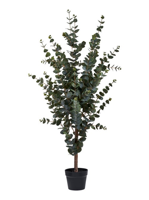 Arbre d'eucalyptus - Plante artificielle, vert H:120 cm - Kiabi