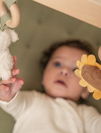 Arche d’éveil en bois Little Farm