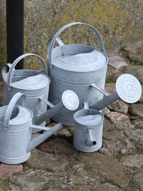 Arrosoir en zinc patiné 1,5 L - Kiabi