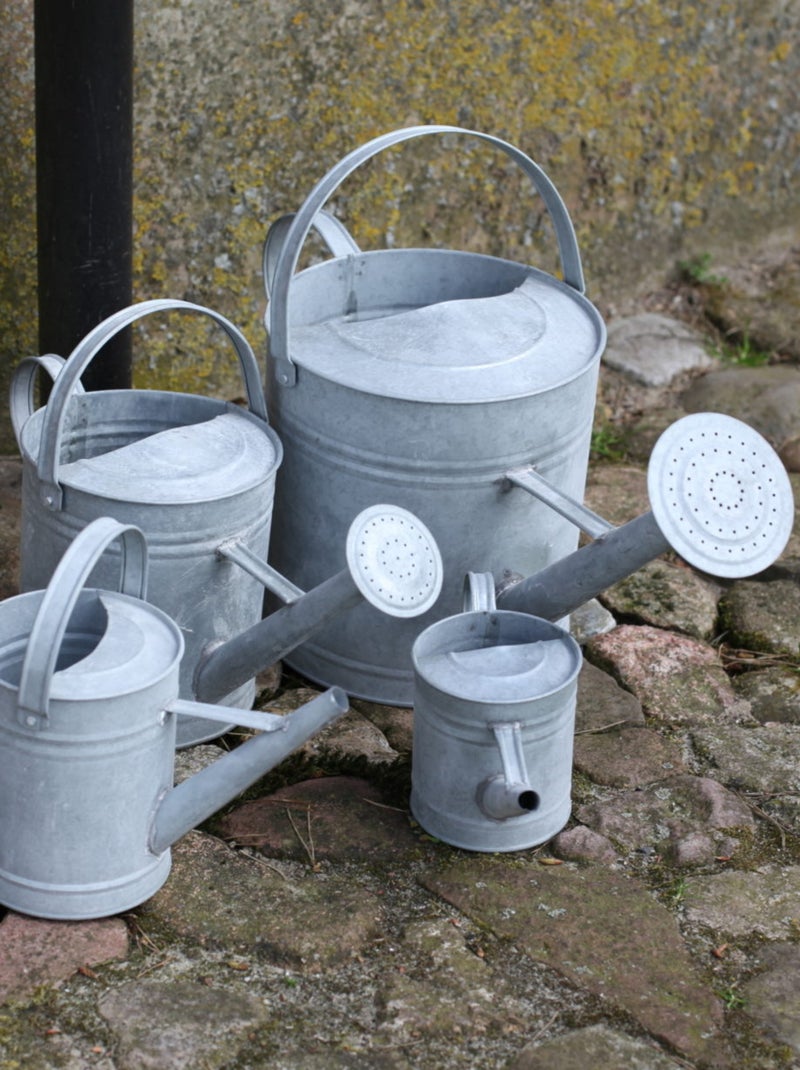 Arrosoir en zinc patiné 1,5 L Gris - Kiabi