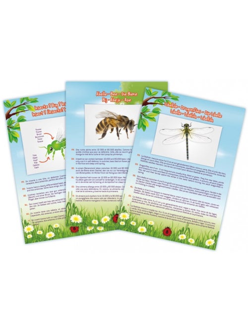 Aspirateur à insectes - Kiabi