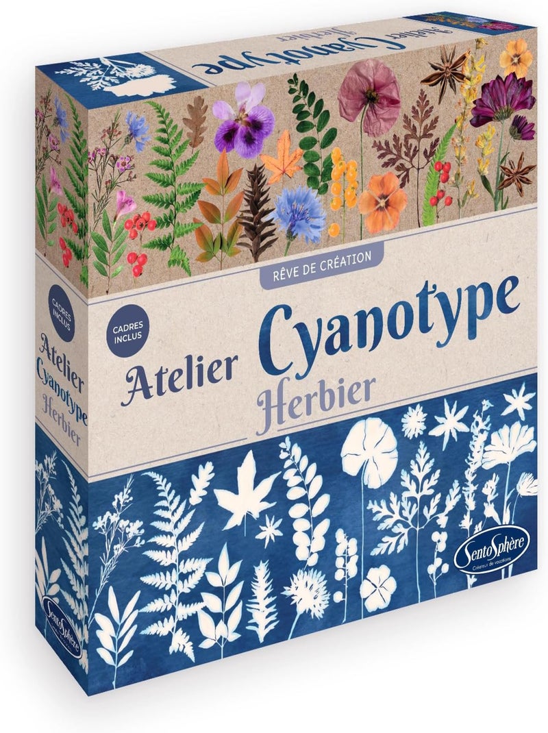 Atelier Cyanotype Herbier - Sentosphere Bleu - Kiabi