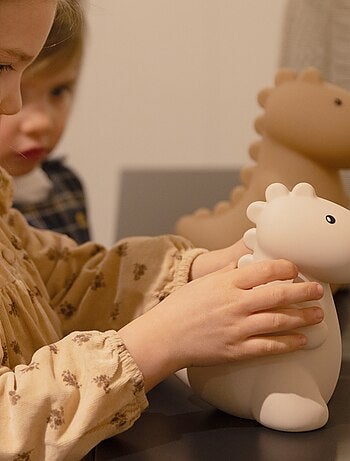 Atelier Pierre Junior - Tirelire