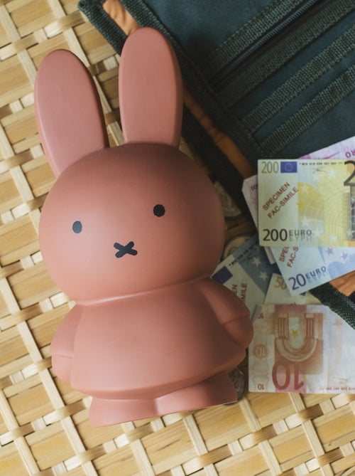 Atelier Pierre Junior - Tirelire MIFFY - Kiabi