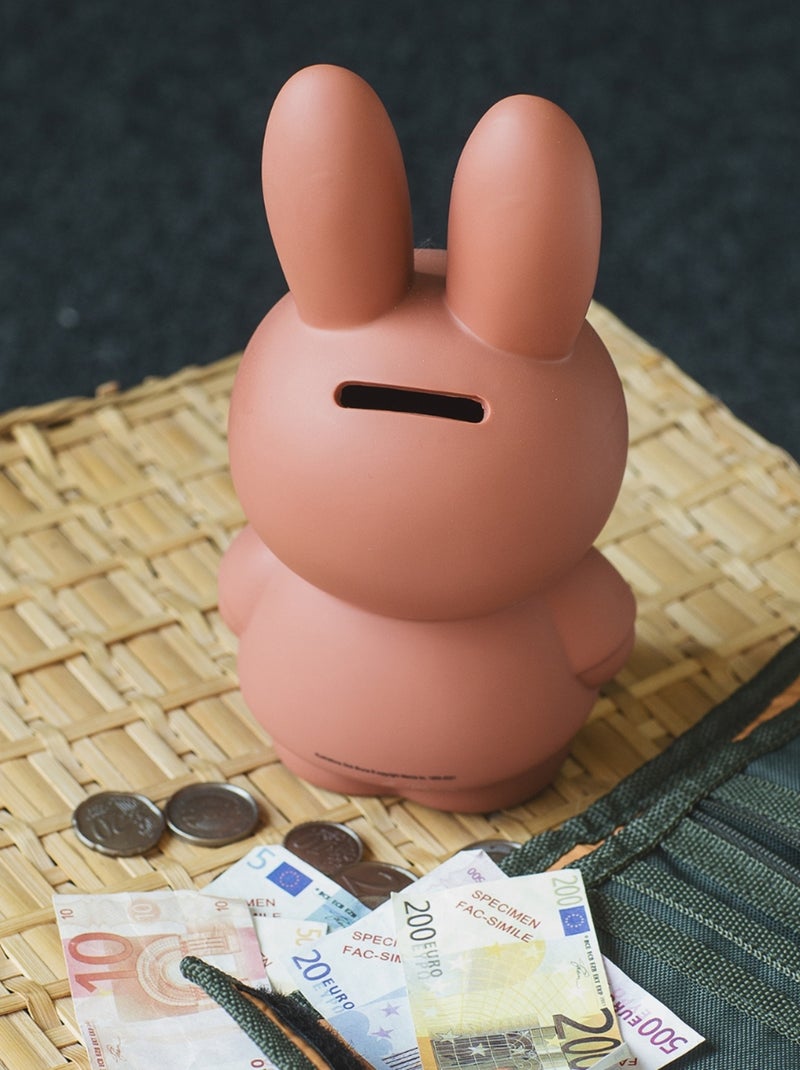 Atelier Pierre Junior - Tirelire MIFFY Marron - Kiabi