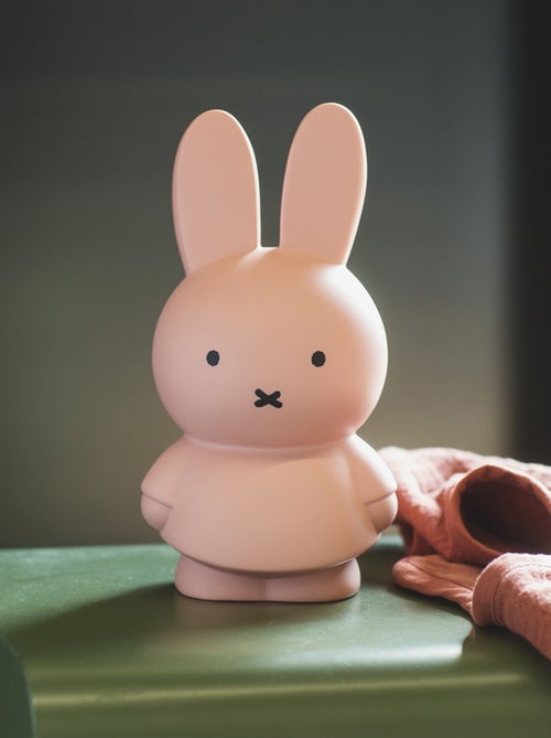 Atelier Pierre Junior - Tirelire MIFFY - Kiabi