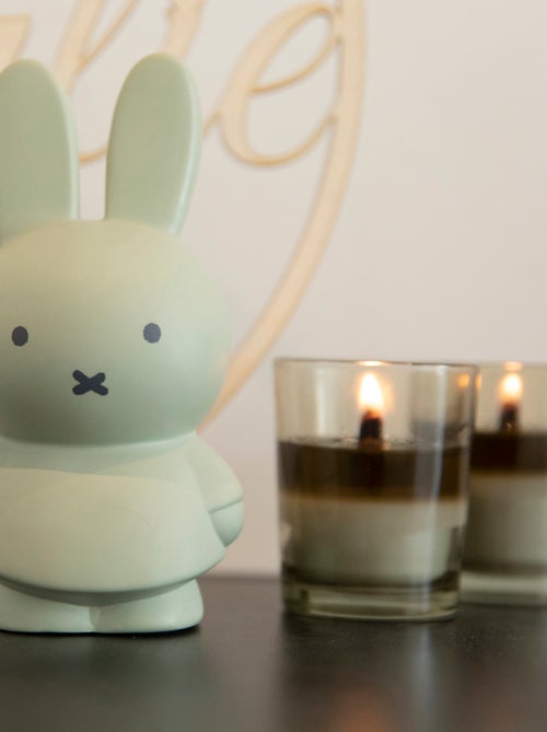 Atelier Pierre Junior - Tirelire MIFFY - Kiabi