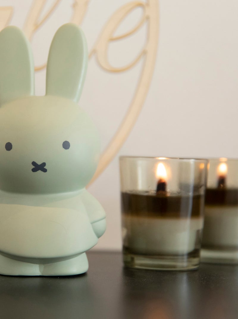Atelier Pierre Junior - Tirelire MIFFY Vert - Kiabi
