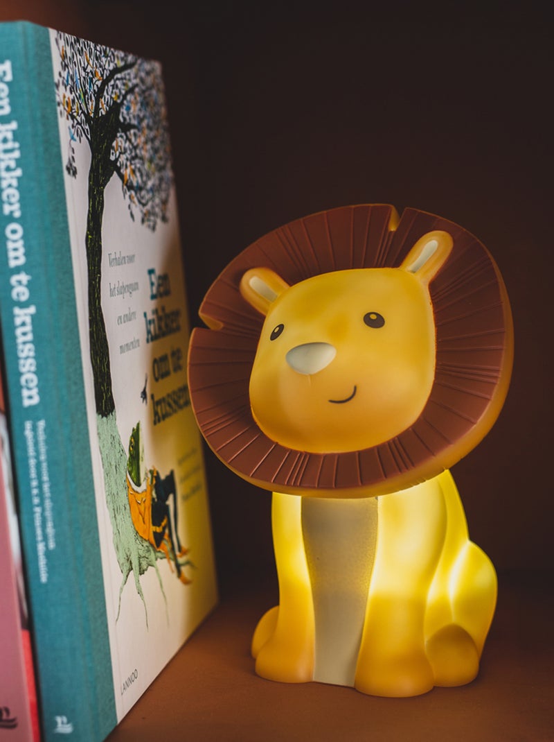 Atelier Pierre Junior - Veilleuse rechargeable Marron - Kiabi